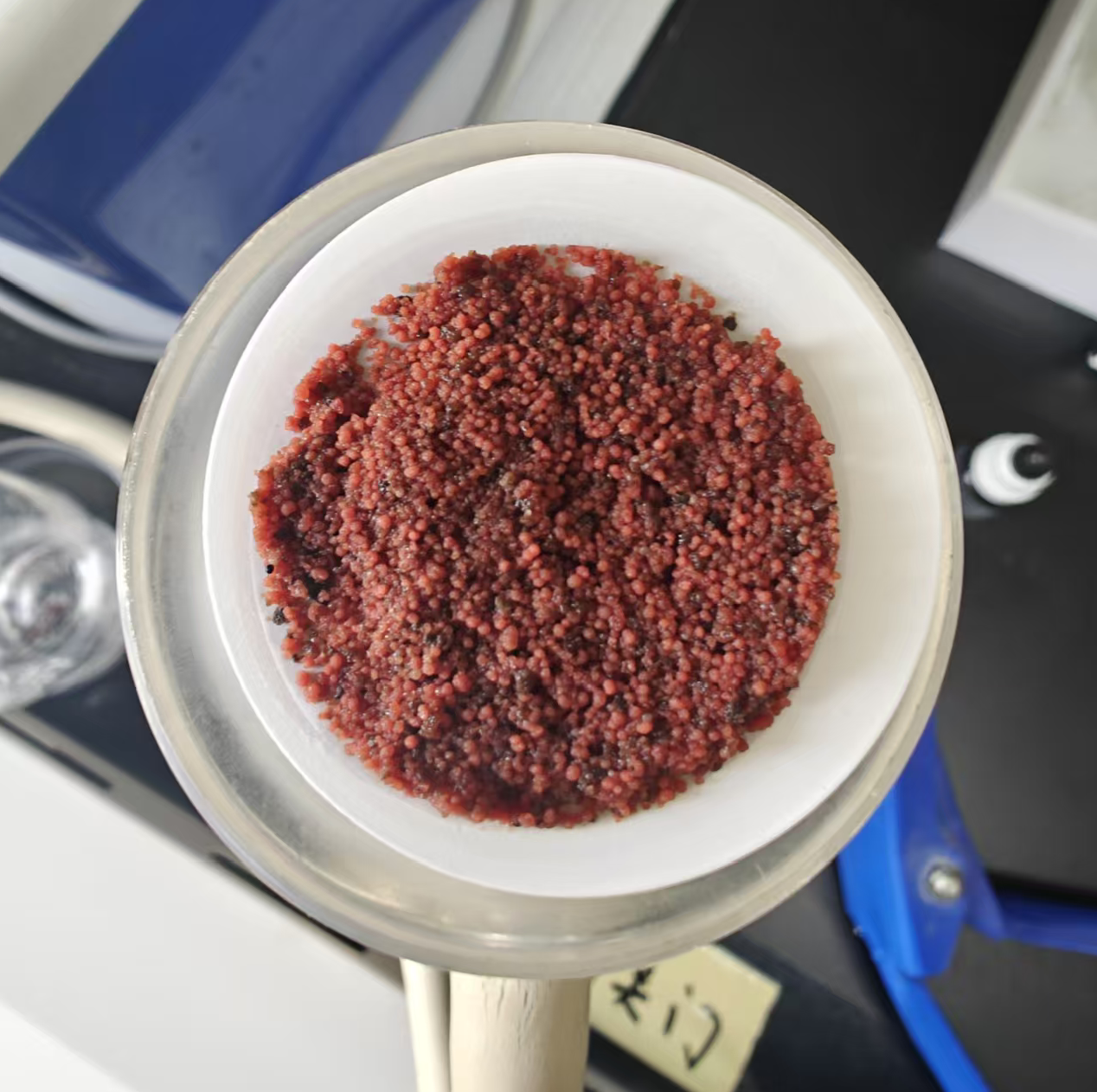 年節碳源超300噸，維爾利西安江村溝項目厭氧氨氧化工藝實現生態經濟雙贏